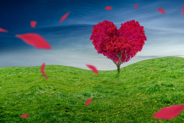 istock Tree in the shape of heart, valentines day background 1208862253