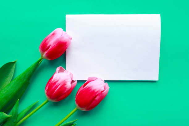 istock Three red tulips and white mockup blank on bright green background. Copy space for the text. Easter or Mother's Day greeting card 1208862450