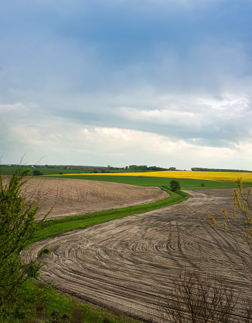agriculture farm field with curve line of aeration channel and yellow blooming rape field in background at spring time