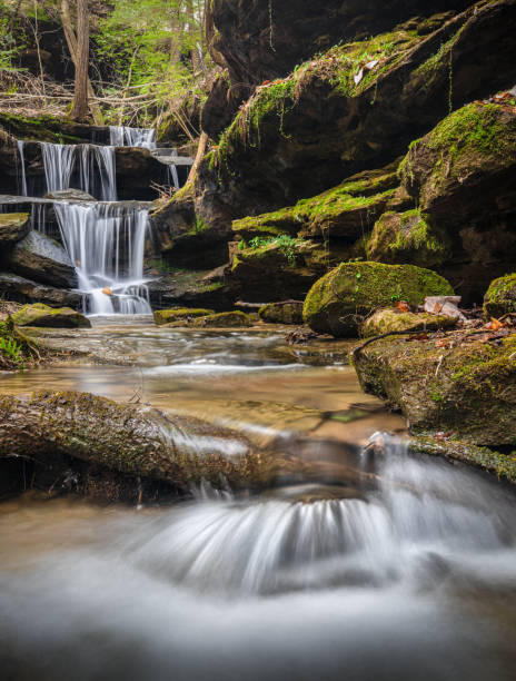 istock Multiple Falls, In Bankhead National forest 1208870096