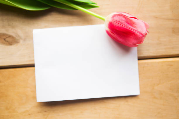 istock Pink tulip and white mockup blank on wooden background, copy space for the text 1208870145