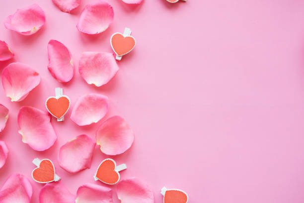 istock pink rose petals on pink background. Copy space for the text 1208870205