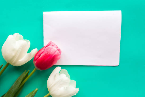 istock Red and white tulips and white mockup blank on bright green background, copy space for the text 1208870251