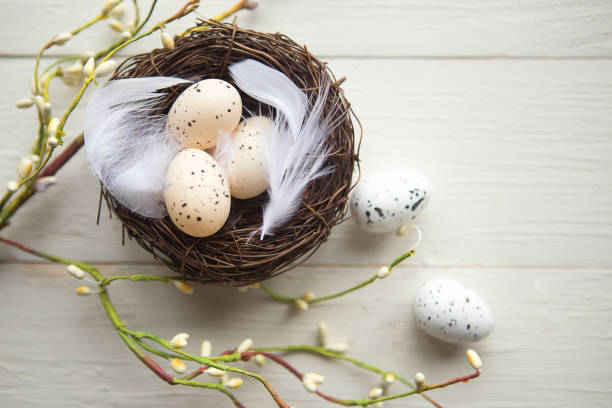 istock quail eggs in the nest, top view, wooden background, Easter concept 1208870322