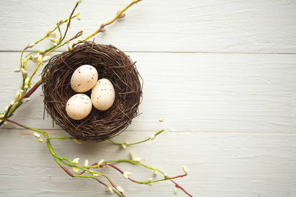 istock quail eggs in the nest, top view, wooden background, Easter concept 1208870339