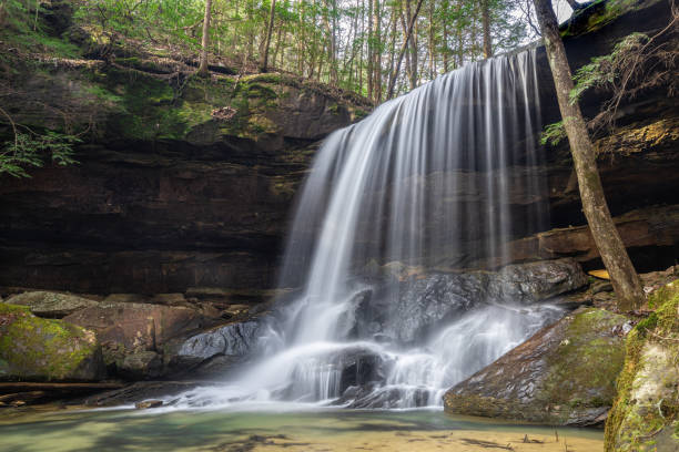 Turkey Foot Falls in the Sypey Wilderness of BankHead National Forest, Alabama Turkey Foot Falls is just a 30-minute walk from the Sipsey River Picnic Grounds and Rec Area in Bankhead National Forest. national forest stock pictures, royalty-free photos & images