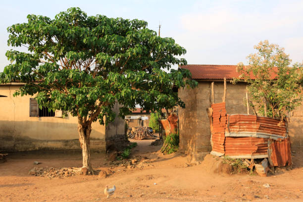 istock Datcha village. Togo. West Africa. 1208875441