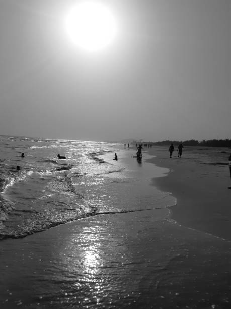 istock People swimming at beach. 1208875755