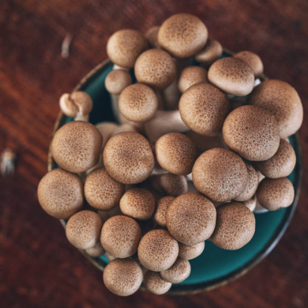 istock Enoki Mushrooms for Cooking Asian Dish 1208878600