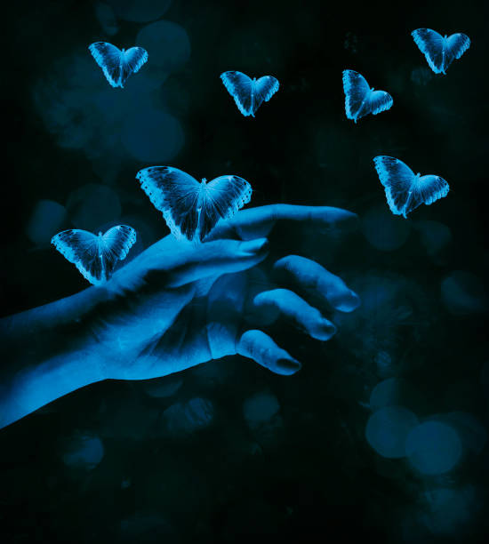 istock Butterflies on the hand. 1208886954