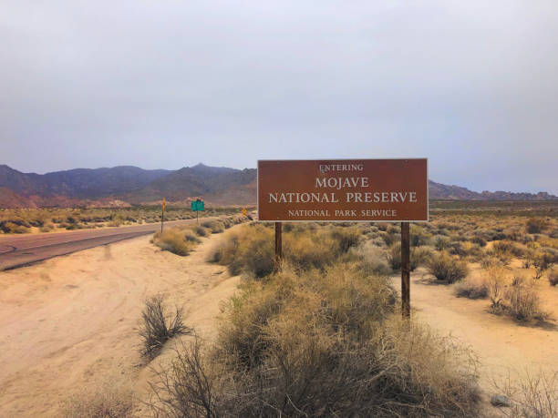 istock Mojave desert, California 1208887431