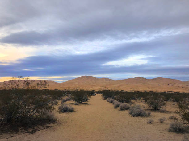 istock Mojave desert, California 1208888058