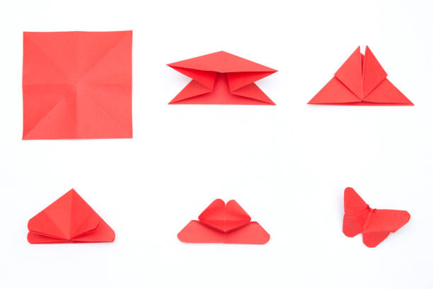 Steps of making origami butterfly on white background Steps of making origami butterfly on white background origami instructions stock pictures, royalty-free photos & images