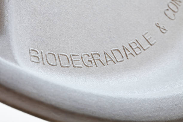 Biodegradable paper plate detail stock photo