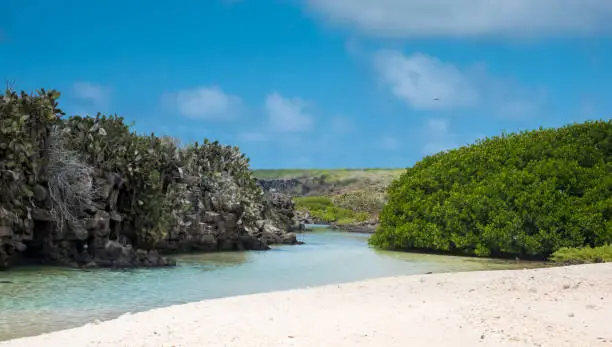 Photo of Remote sandy beaches on Genovesa Island, Galapagos Islands, Ecuador