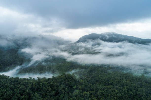 istock Misty Mayan Mountains in Central America 1208897397