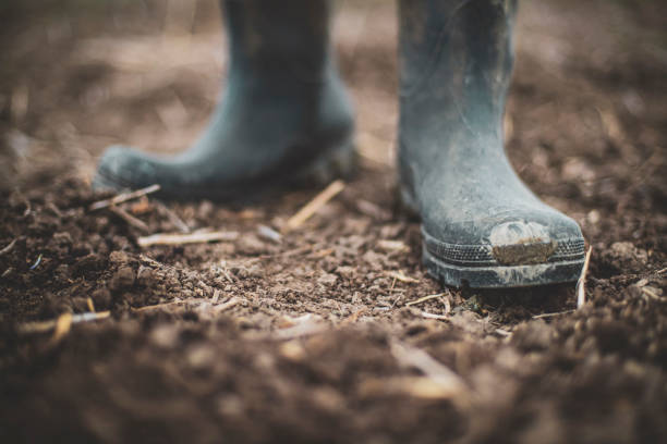 istock Woman in a Home Garden 1208909033