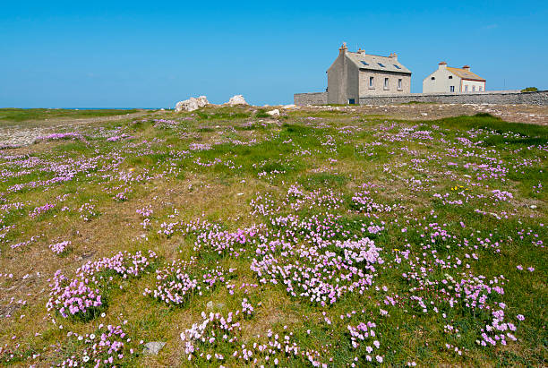 istock House by the sea 120891283
