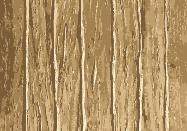 배경에 대 한 갈색 나무 판자 질감입니다. 세로 줄무늬. - table nature brown backgrounds stock illustrations