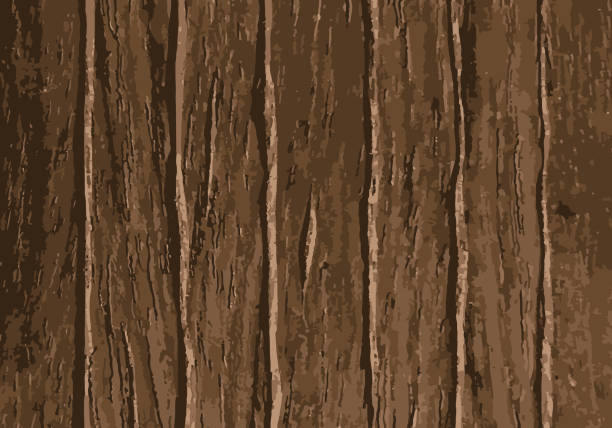 dunkelbraune holzplanke textur für hintergrund. vertikaler streifen. - table nature brown backgrounds stock-grafiken, -clipart, -cartoons und -symbole