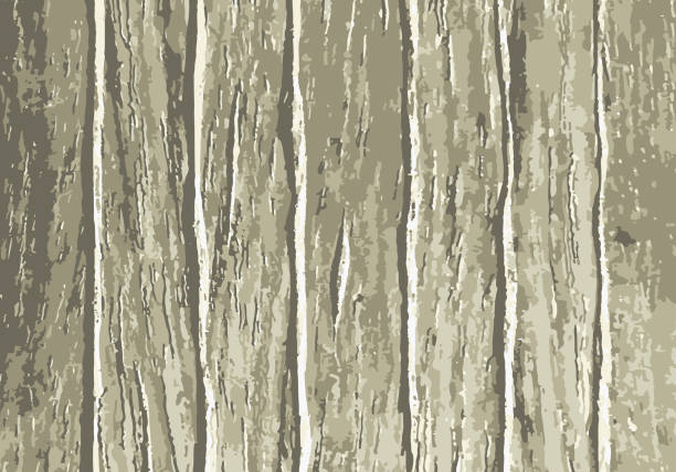 hellbraune holzplanke textur für hintergrund. vertikaler streifen. - table nature brown backgrounds stock-grafiken, -clipart, -cartoons und -symbole