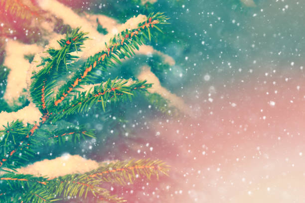 istock Frozen winter forest with snow covered trees. 1208925999
