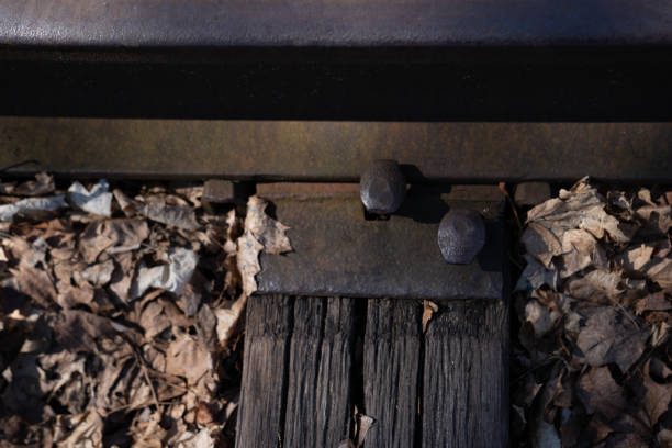 vías de tren abandonadas con primer plano de madera - railroad spikes fotografías e imágenes de stock