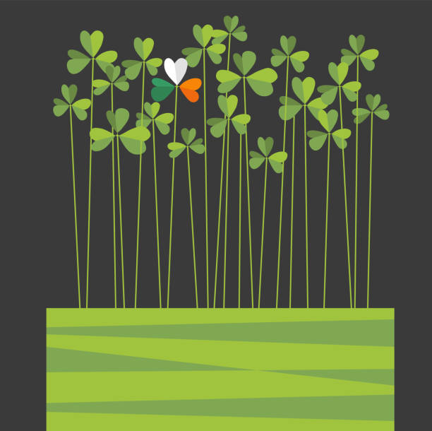 背の高いシャムロックスと聖パトリックの日のレトロなデザイン。アイルランドの旗の色を持つ1つのシャムロック。 - clover celebration event sparse simplicity点のイラスト素材／クリップアート素材／マンガ素材／アイコン素材