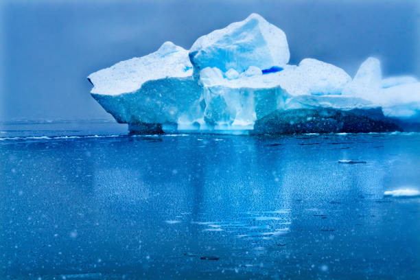 istock Snowing Floating Blue Iceberg Reflection Paradise Bay Skintorp Cove Antarctica 1208927158