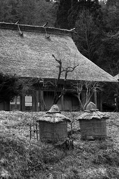 istock Japanese traditional village 120893328