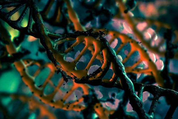 istock Coronavirus invasion gene DNA 1208934943