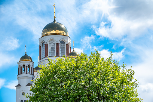 Blooming apple tree against the background of the Orthodox Church and the blue sky. Flowering apple tree branch against the background of the Orthodox cathedral. Temple-on Blood, Yekaterinburg, Russia