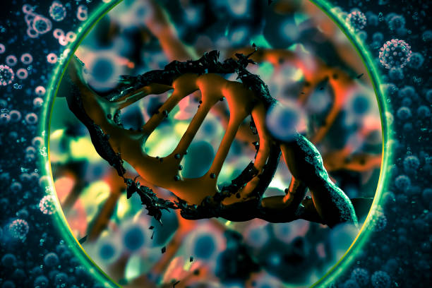 istock Coronavirus invasion gene DNA 1208936032