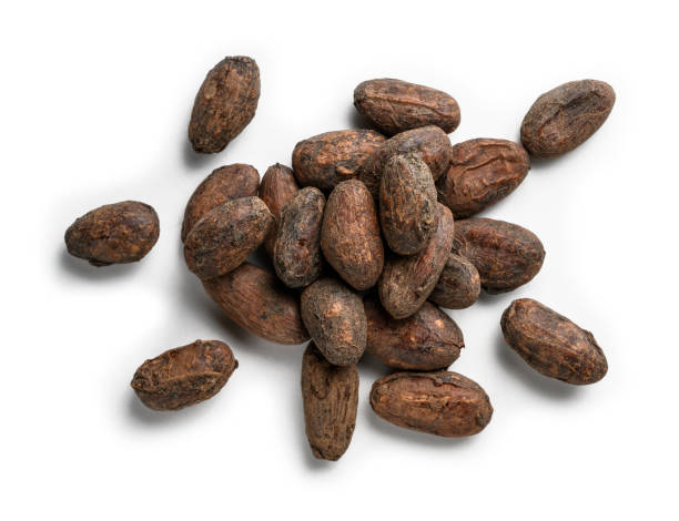 istock Cocoa beans on a white background. The view from the top 1208952527