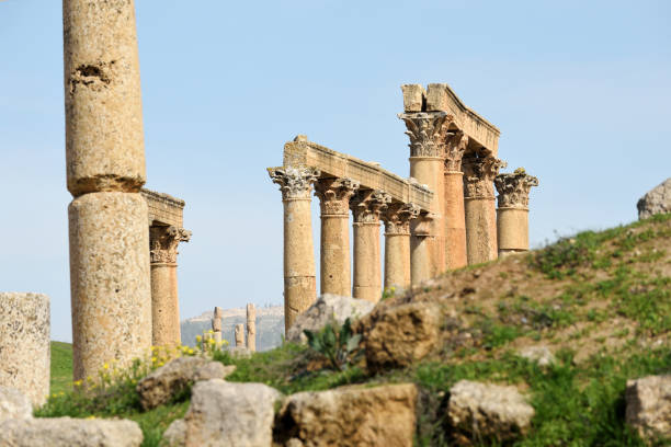 säulen der zerstörten griechisch-römischen stadt gerasa - greco roman fotos stock-fotos und bilder