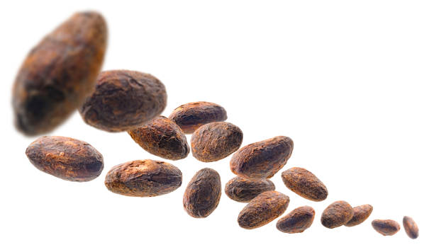 istock Cocoa beans levitate on a white background 1208953291