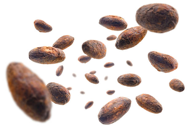 Cocoa beans levitate on a white background