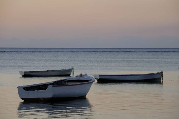 istock Sunset at Albion Beach, Mauritius, Indian Ocean, Africa 1208955992