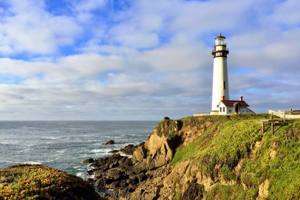 istock Pigeon Point Lighthouse in Pescadero, California 1208958220