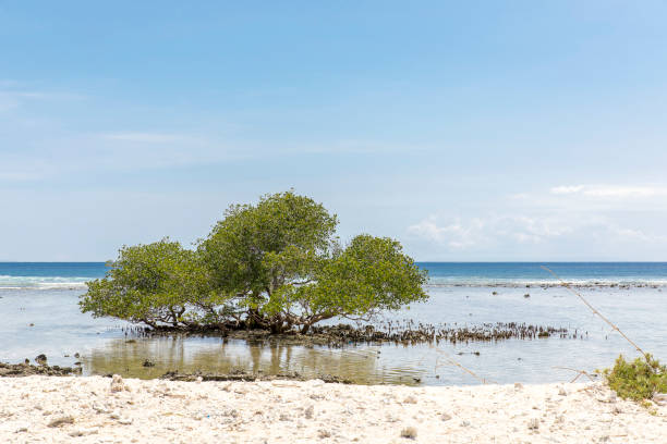 istock Gili trawangan island 1208959924