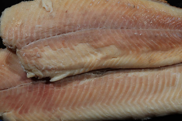 istock Fresh smoked Trout Fillet on the Plate 1208960668