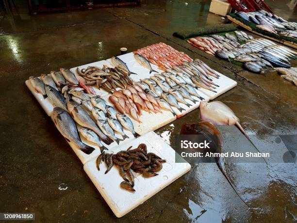Seafood Of Gaza Stock Photo - Download Image Now - Fish, Food, Freshness