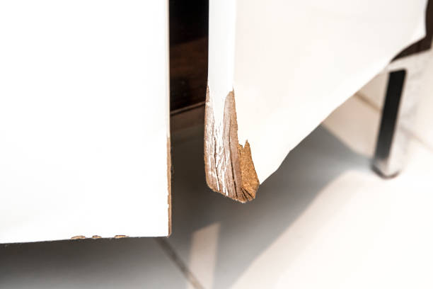 вода повреждена высокий блеск белый mdf ванной двери шкафа с литьем. влажная концеп�ция состояния ванной комнаты. - wood paint white peeling стоковые фото и изображения