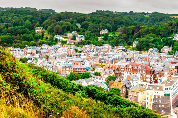 istock Panorama of natural chalk cliffs of Etretat 1208968971