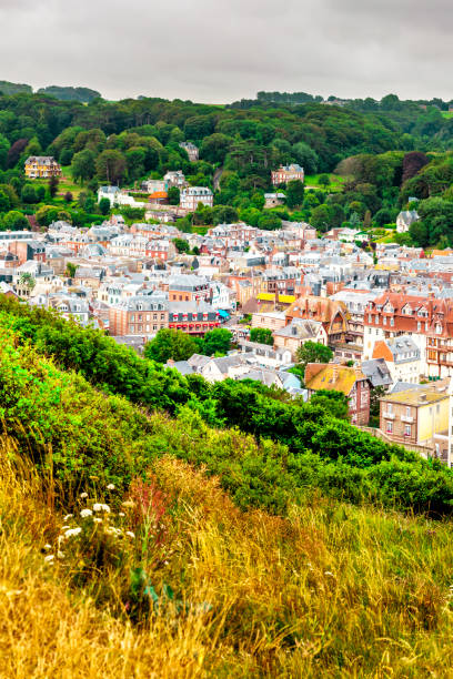 istock Panorama of natural chalk cliffs of Etretat 1208969048