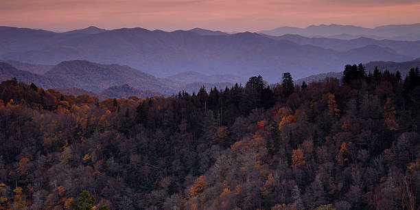 Early Morning in the Smokies An autumn morning from an overlook at the Great Smoky Mountain National Park, with the receding ridges extending off in the distance newfound gap stock pictures, royalty-free photos & images