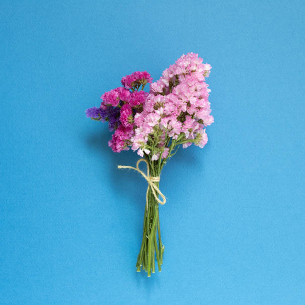 розово-фиолетовый �статический букет цветов на синем фоне. цветочная композиция, плоская лежала, вид сверху - limonium стоковые фото и изображения
