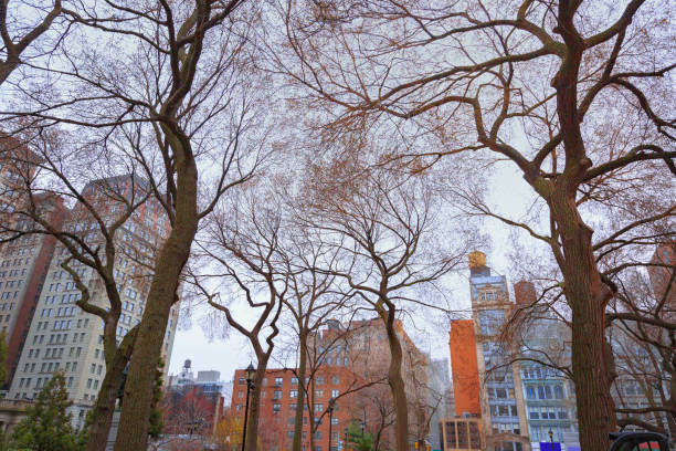 Low angle view of city buildings from Central Park in Manhattan in early spring