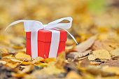 herbst-geschenk-box.jpg?b=1&s=170x170&k=20&c=cQaWQHosI-5Fx0yKRqmf5tFZDlAqEl53E6hA14aIGpU=