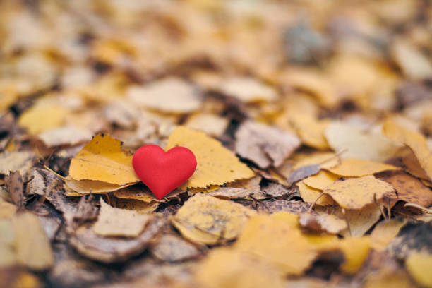 istock Unrequited, one-sided love or loneliness concept. 1208975219